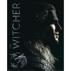 PLAKAT THE WITCHER SHADOWS...